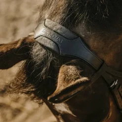 Eric Thomas - Bridon bat noir