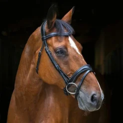 Eric Thomas - Bridon Wave noir