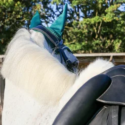 Eric Thomas - Bridon Wave noir