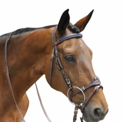 Flags & Cup - Bridon combiné Paris avec rênes marron/ bleu