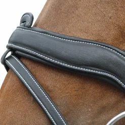 Flags & Cup - Bridon Comfort combiné avec rênes noir