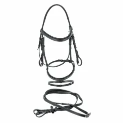 Flags & Cup - Bridon Göteborg avec rênes noir