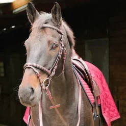 Flags & Cup - Bridon Helsinki avec rênes marron