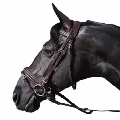 Flags & Cup - Bridon Hickstead avec rênes marron