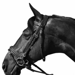 Flags & Cup - Bridon Hickstead avec rênes noir