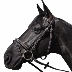 Flags & Cup - Bridon Wellington avec rênes marron