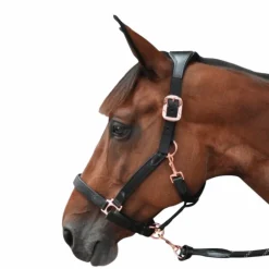 Flags & Cup - Licol cheval nylon et cuir noir / rose gold