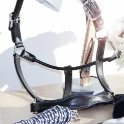 Flags & Cup - Licol cheval Cuir Paris noir/marine