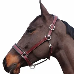 Flags & Cup - Licol Comfort marron