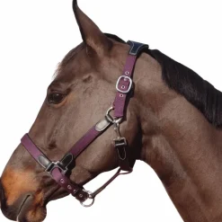 Flags & Cup - Licol nylon et cuir noir/ prune