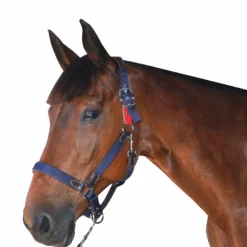 Flags&Cup - Licol de sécurité