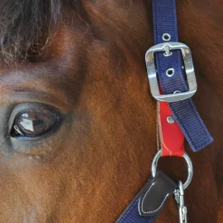 Flags&Cup - Licol de sécurité