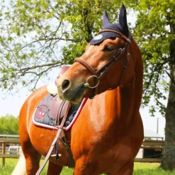 Flex On - Stickers Flex On Pays France