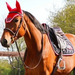 Flex On - Stickers Flex On Pays France