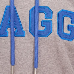Hagg - Sweat à capuche homme gris/ bleu roi