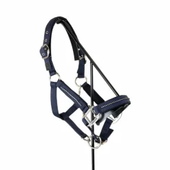 Harcour - Ensemble licol et longe Amour marine