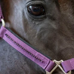 Harcour - Ensemble licol et longe Amour figue