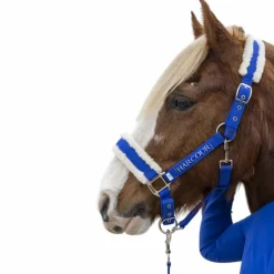 Harcour - Licol et longe Teschic bleu électrique