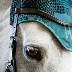 Horseware - Bonnet pour chevaux Ear Net dynasty green