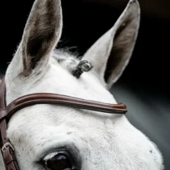 Horseware - Bridon Cavesson marron