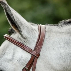 Horseware - Bridon Cavesson Hunter avec rênes dark tan