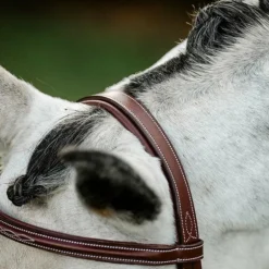 Horseware - Bridon Cavesson Hunter avec rênes dark tan