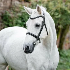 Horseware - Bridon Cavesson Pony noir