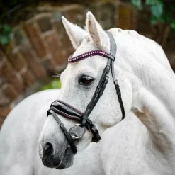 Horseware - Bridon Diamante Pony Flash noir/ rose