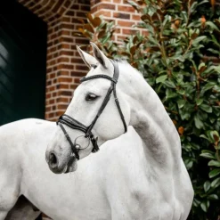 Horseware - Bridon Diamante Flash noir/ noir