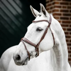 Horseware - Bridon Dressage Flash marron
