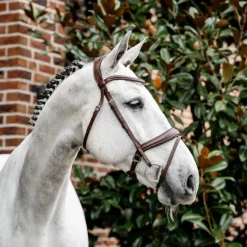 Horseware - Bridon Dressage Flash marron