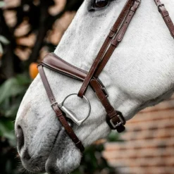 Horseware - Bridon Dressage Flash marron