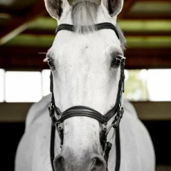 Horseware - Bridon Micklem Deluxe Competition noir