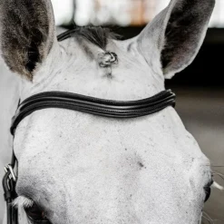 Horseware - Bridon Micklem Deluxe Competition noir
