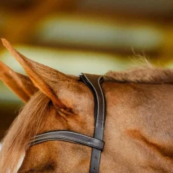 Horseware - Bridon Micklem Competition dark havane