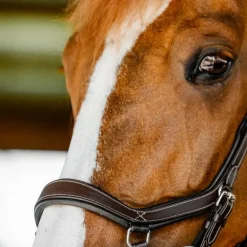 Horseware - Bridon Micklem Competition dark havane