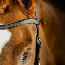 Horseware - Bridon Micklem Competition dark havane