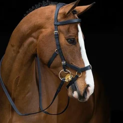 Horseware - Bridon Rambo Micklem multibride noir