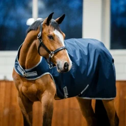 Horseware - Chemise de marcheur Amigo Ripstop Walker marine/ titanium grey 100g