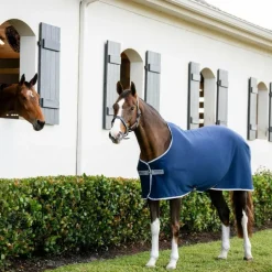 Horseware - Chemise séchante Amigo Jersey marine/ titanium grey/ argent