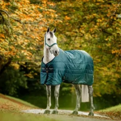 Horseware - Couverture de box Amigo Ripstop Insulator dynasty green/ marine/ argent 50g