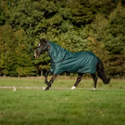 Horseware - Couverture d'extérieur Amigo Ripstop Plus Pony Turnout dynasty green/ marine/ argent 0g