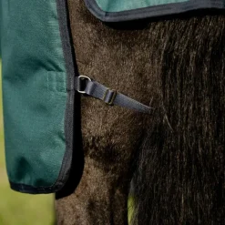 Horseware - Couverture d'extérieur Amigo Ripstop Plus Turnout dynasty green/ marine/ argent 0g
