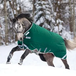 Horseware - Couverture d'extérieur Rambo Original Legs Arches vert/ argent 400g