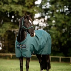 Horseware - Couverture d'extérieur Amigo Ripstop Turnout dynasty green/ marine/ argent 0g