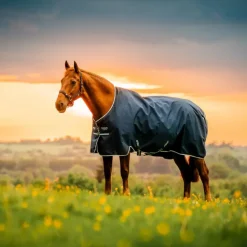 Horseware - Couverture d'extérieur Amigo Ripstop Turnout witney navy 0g