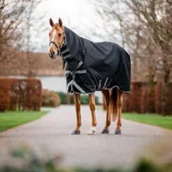 Horseware - Couverture d'extérieur Amigo Bravo Integrated Turnout noir/ titanium grey/ argent 250g