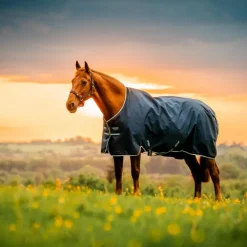 Horseware - Couverture d'extérieur Amigo Ripstop Pony Turnout witney navy 100g