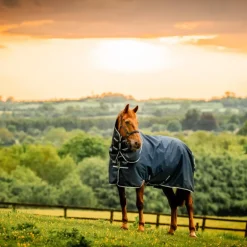 Horseware - Couverture d'extérieur Amigo Ripstop Plus Turnout witney navy 0g