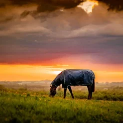 Horseware - Couverture d'extérieur Amigo Ripstop Plus Turnout witney navy 0g